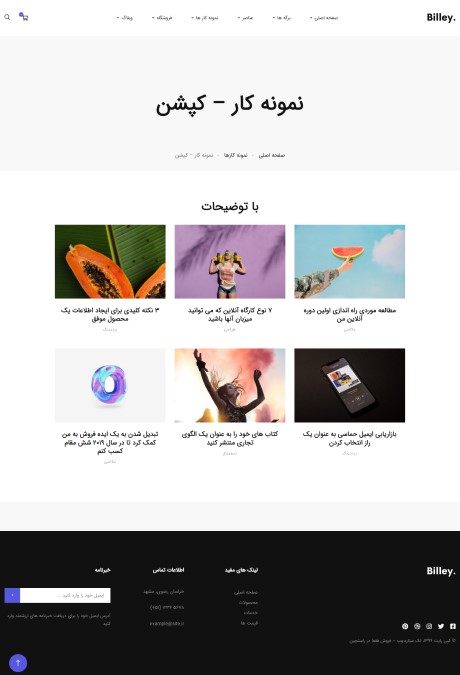 landing-portfolio-preview-09