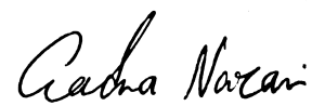 صدرا نظری